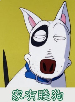 家有贱狗