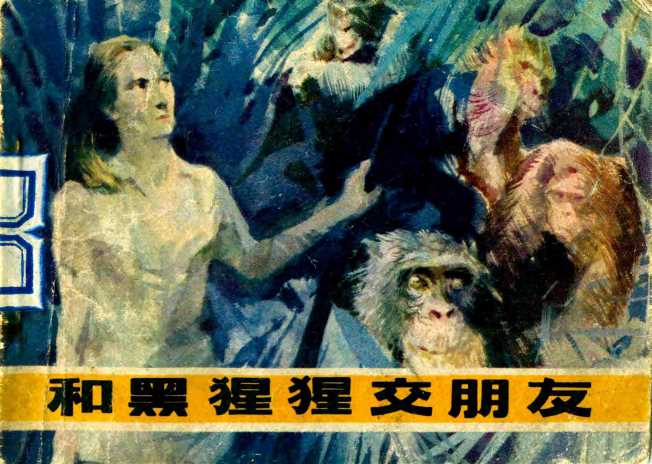 和黑猩猩交朋友