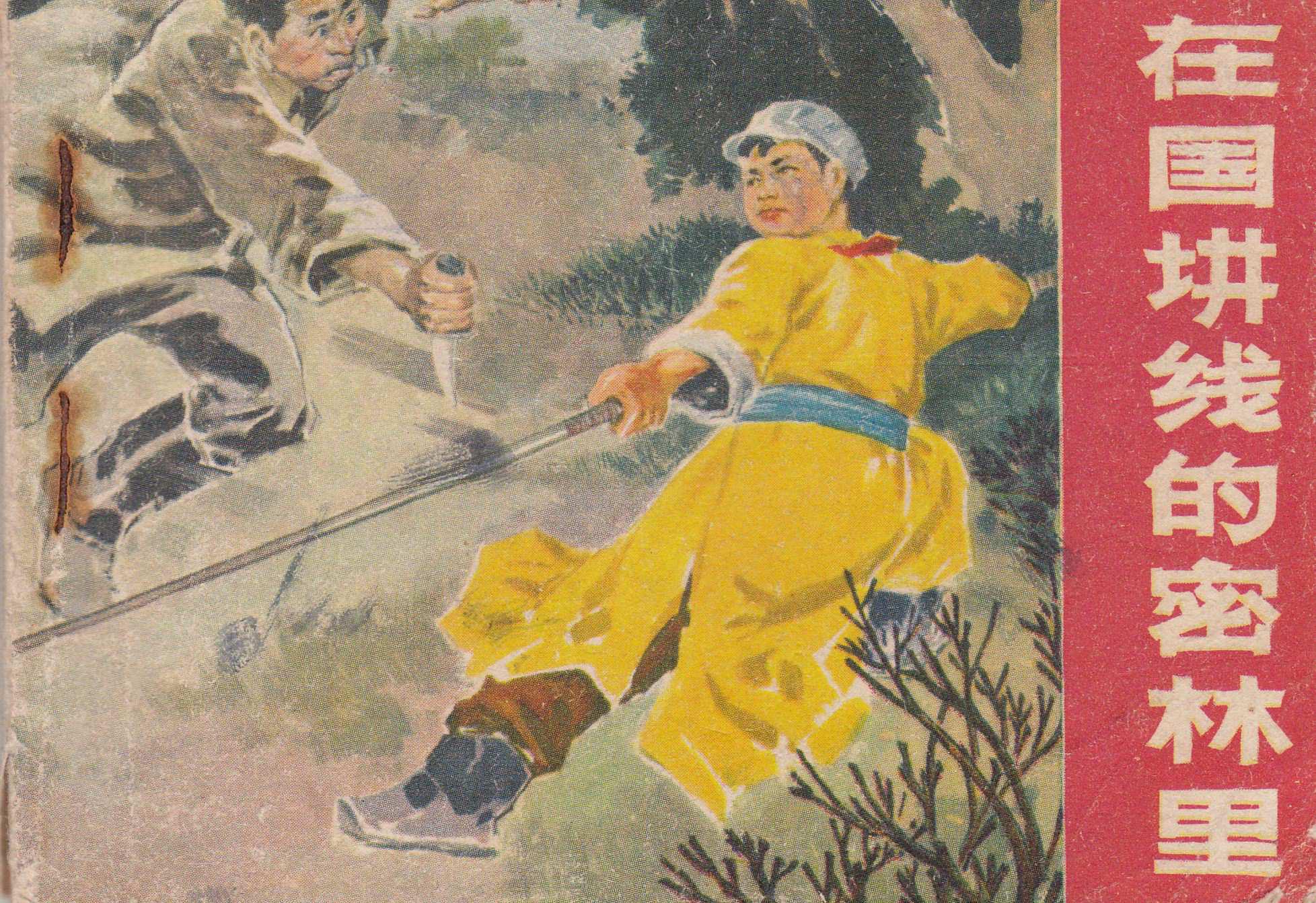 在国境线的密林里