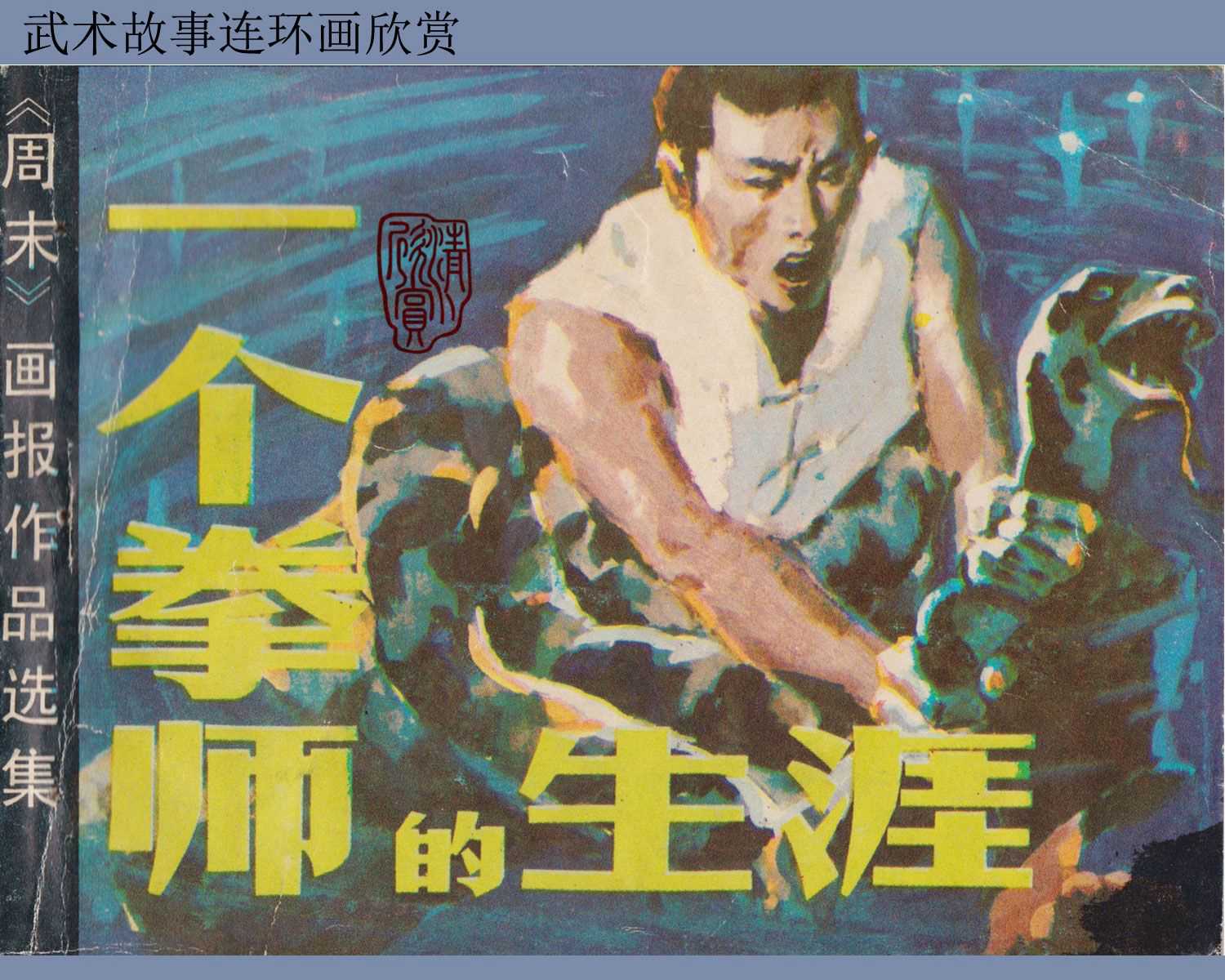 一个拳师的生涯