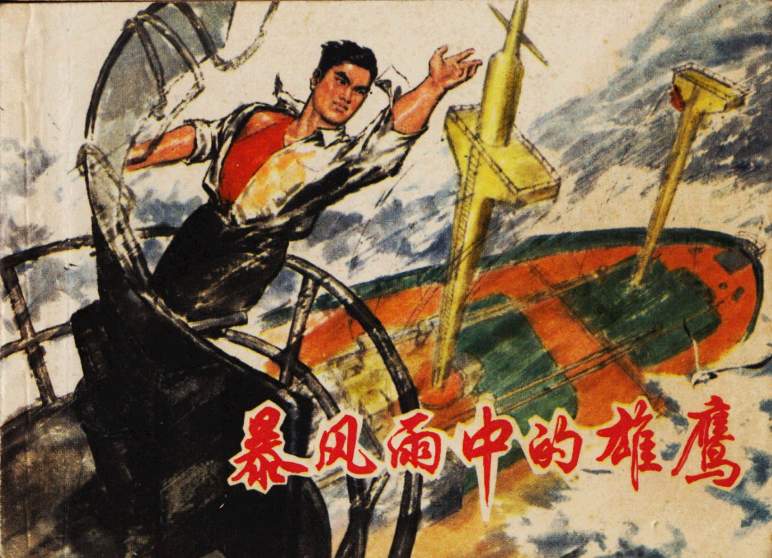 暴风雨中的雄鹰